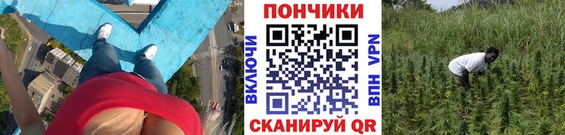 Купить наркотик Алзамай Галлюциногенные грибы Кокаин ГАШ СК МДМА Марихуана кракен tor Меф