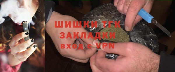индика Заволжье