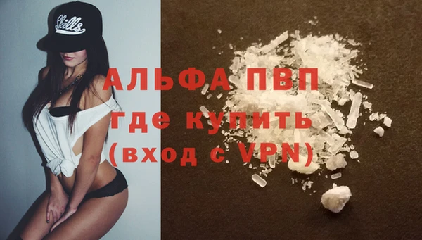 спиды Заволжск