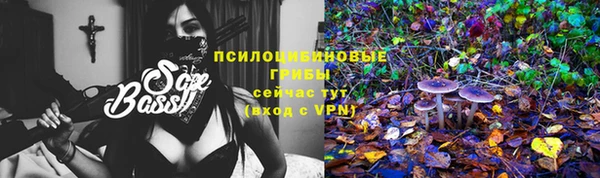 мяу мяу мука Алексин