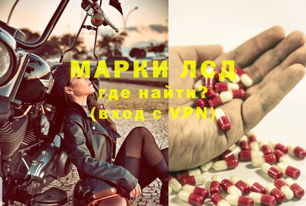 мяу мяу мука Алексин
